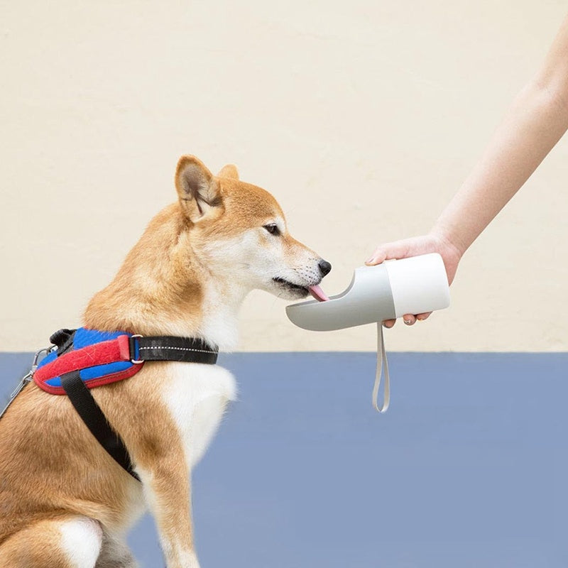 Pet Drinking Cup